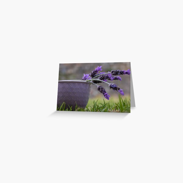 Calm Greeting Card