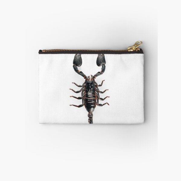 Item preview, Black scorpio species Heterometrus cyaneus designed and sold by paulrommer.