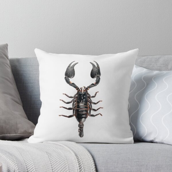 Item preview, Black scorpio species Heterometrus cyaneus designed and sold by paulrommer.