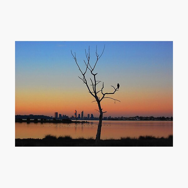 Item preview, Stillness, Perth WA designed and sold by Kylie Macqueen.