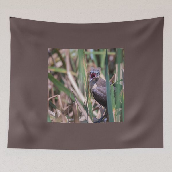 Item preview, Young Great Tailed Grackle Calling for Food designed and sold by Debra Martz.