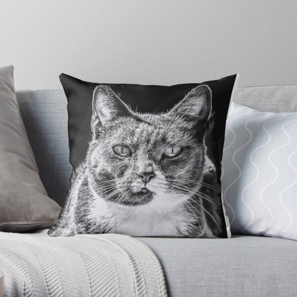 Love cats? Throw Pillow