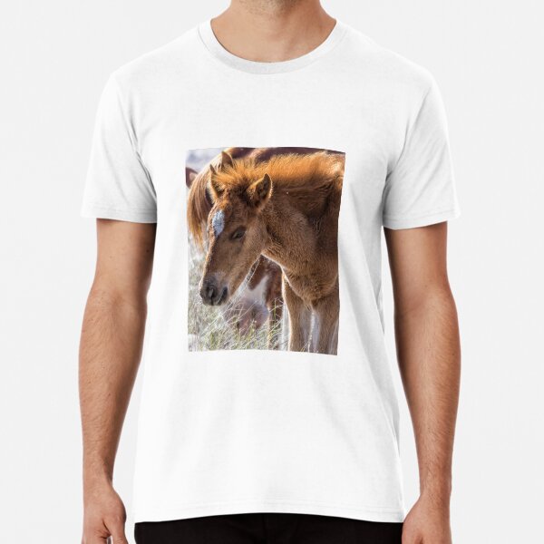 Salt River Sleepy Foal Premium T-Shirt