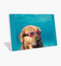 Vinilo para portátil perro nadador