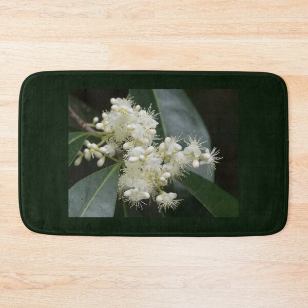 Item preview, Small White Symplocos Flowers in bloom designed and sold by Connie Pinson.