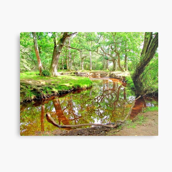Item preview, New Forest Stream designed and sold by Colin  Williams Photography.