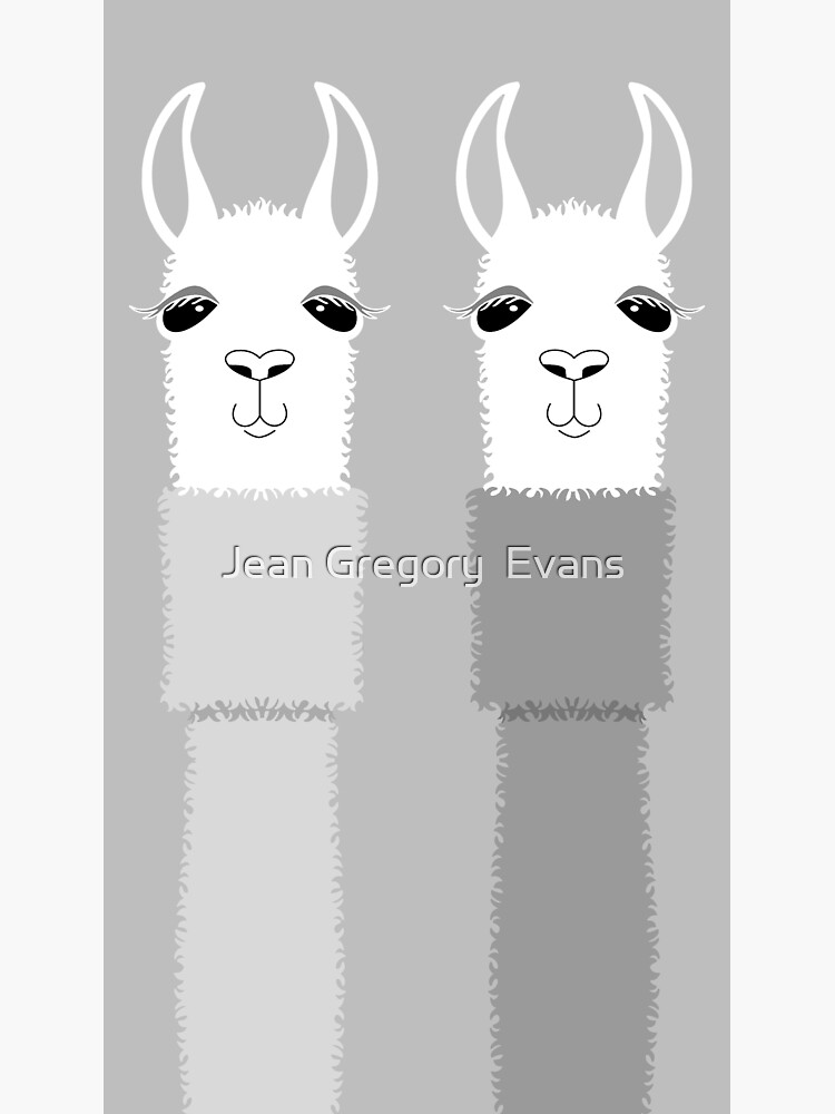 LLAMA DUO by jgevans