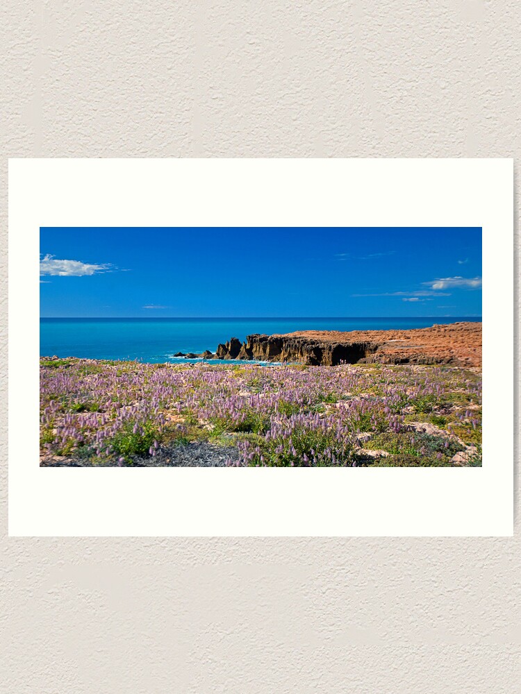 Alternate view of Mulla Mulla by the Sea Art Print