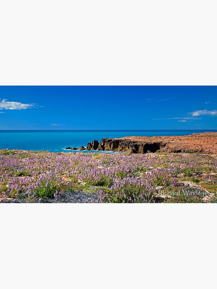 Mulla Mulla by the Sea by RICHARDW