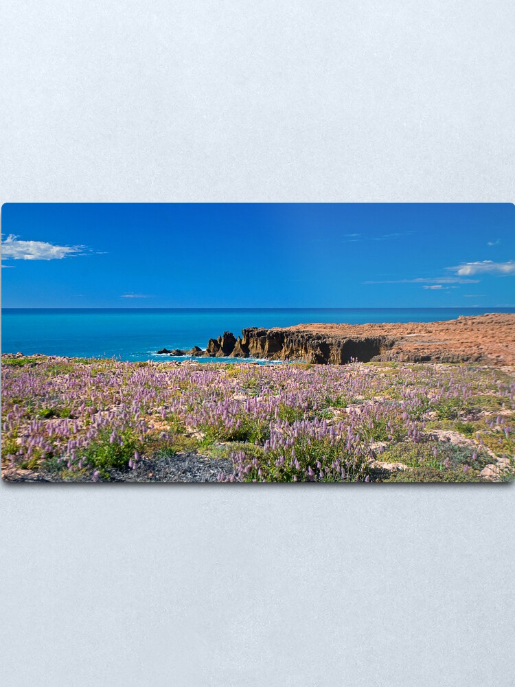 Alternate view of Mulla Mulla by the Sea Metal Print