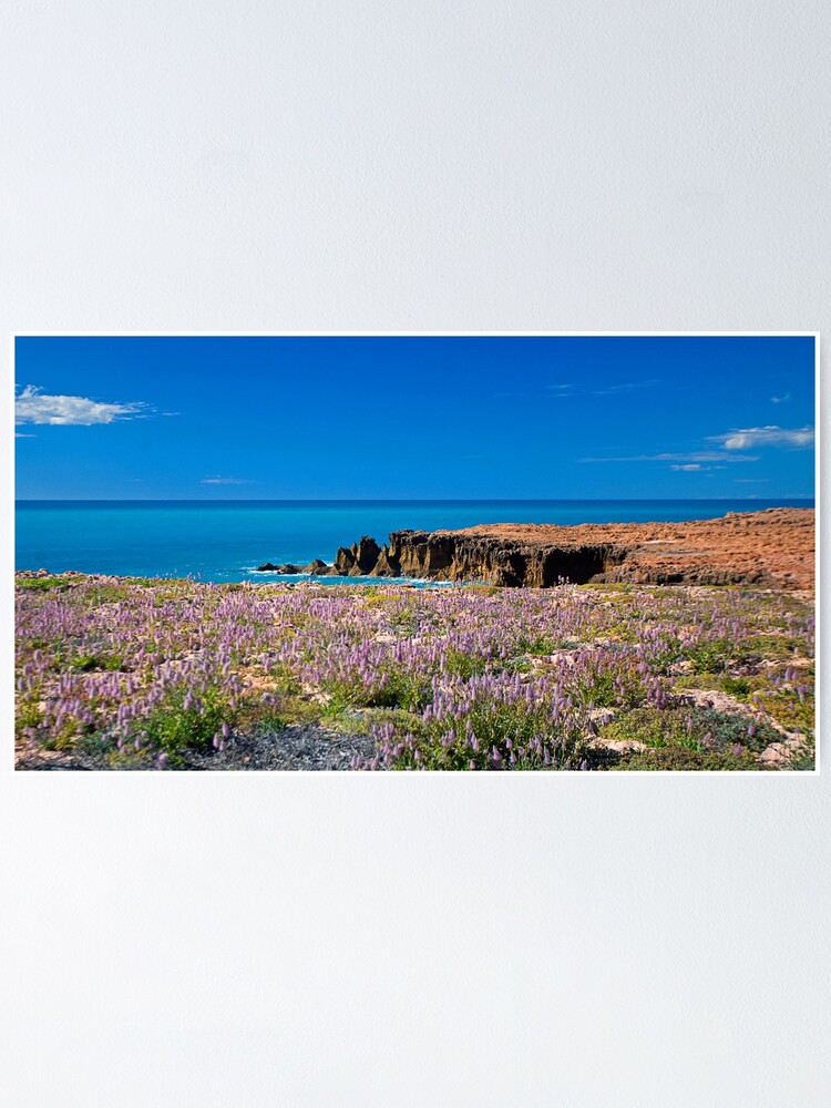 Alternate view of Mulla Mulla by the Sea Poster