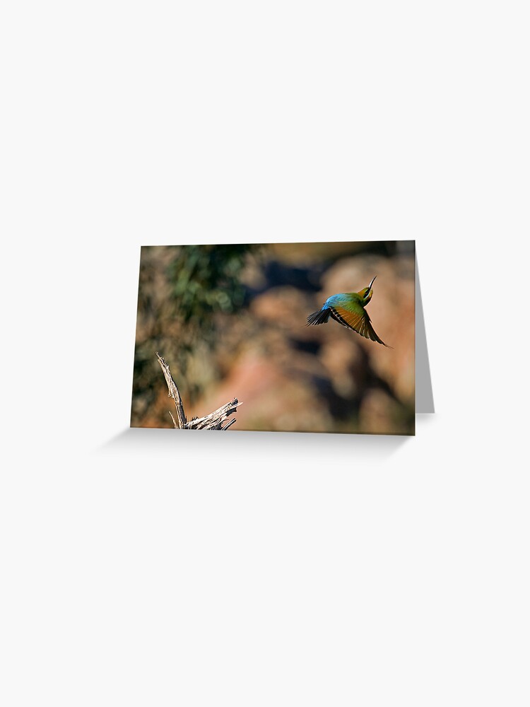Thumbnail 1 of 2, Greeting Card, #28/72 Rainbow Bee Eater designed and sold by RICHARDW.