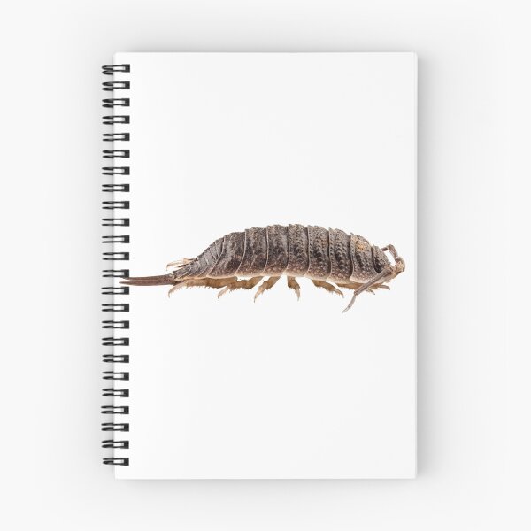 Item preview, woodlouse species porcellio wagnerii designed and sold by paulrommer.