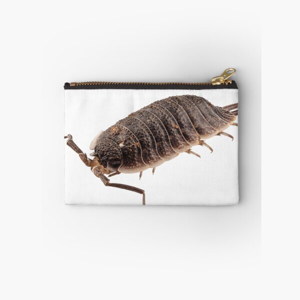 Item preview, woodlouse species porcellio wagnerii designed and sold by paulrommer.