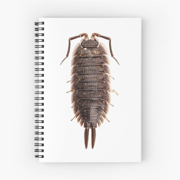 Item preview, woodlouse species porcellio wagnerii designed and sold by paulrommer.