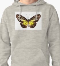 Butterfly species Parantica aspasia common name "Yellow Glassy Tiger" Pullover Hoodie