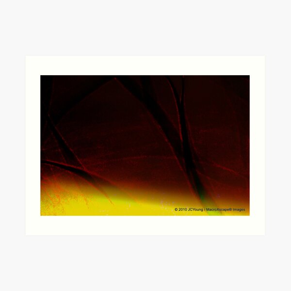 The Warming of Earth Art Print