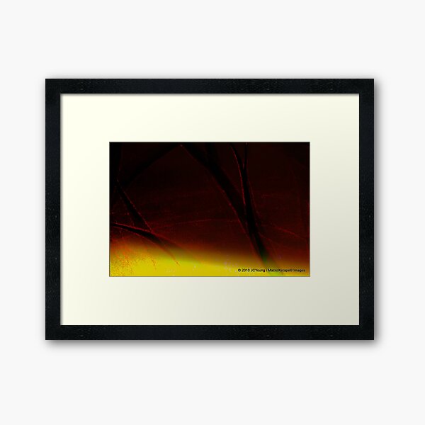 The Warming of Earth Framed Art Print