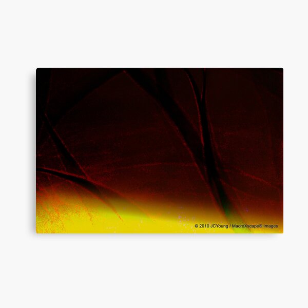 The Warming of Earth Canvas Print