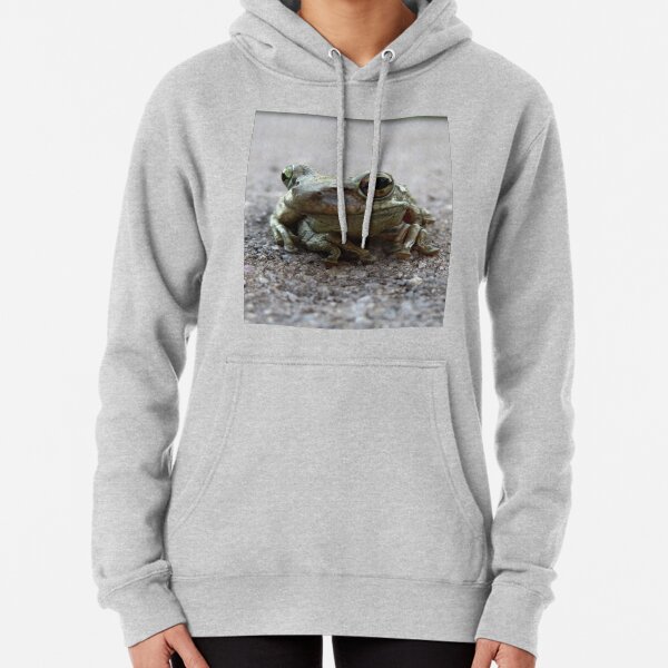 Florida Toad on the road Pullover Hoodie