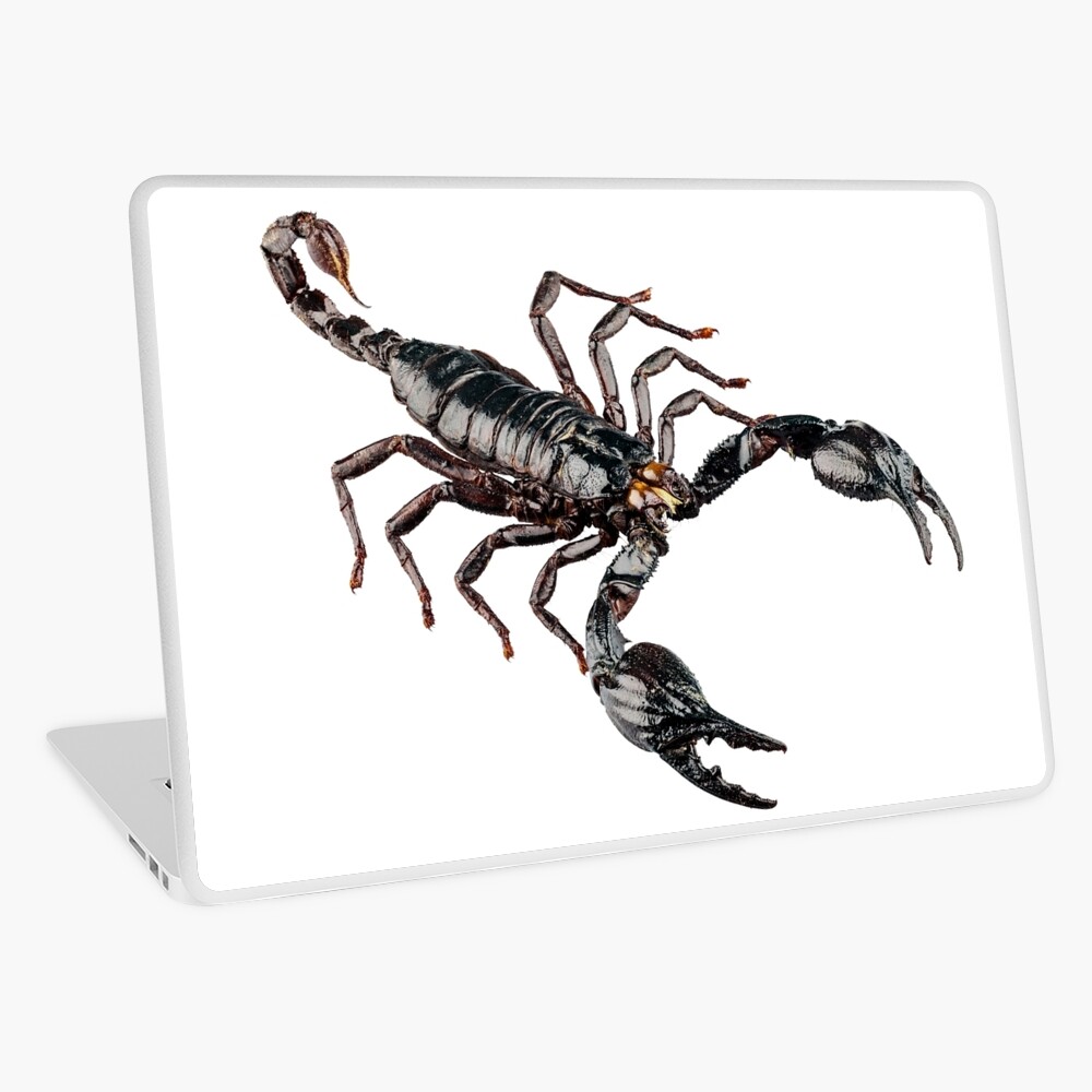 pd,x750,macbook_air_13-pad,