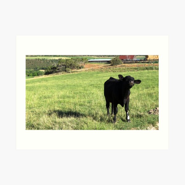 Little cow moo Art Print