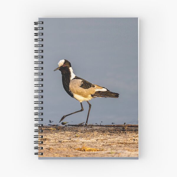 Item preview, Lapwing designed and sold by Kay Brewer.