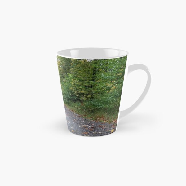 Midwest road, Minnesota Autumn Tall Mug