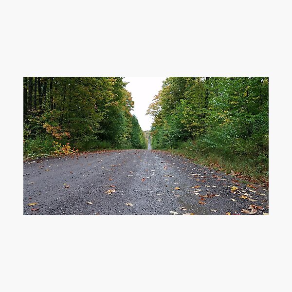 Midwest road, Minnesota Autumn Photographic Print