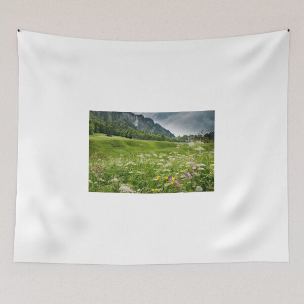 Item preview, White Pine Valley designed and sold by DiFigianoPhoto.