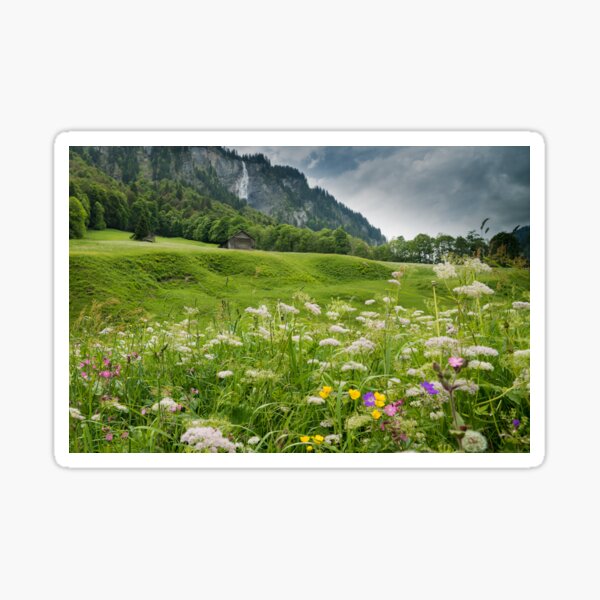White Pine Valley Sticker