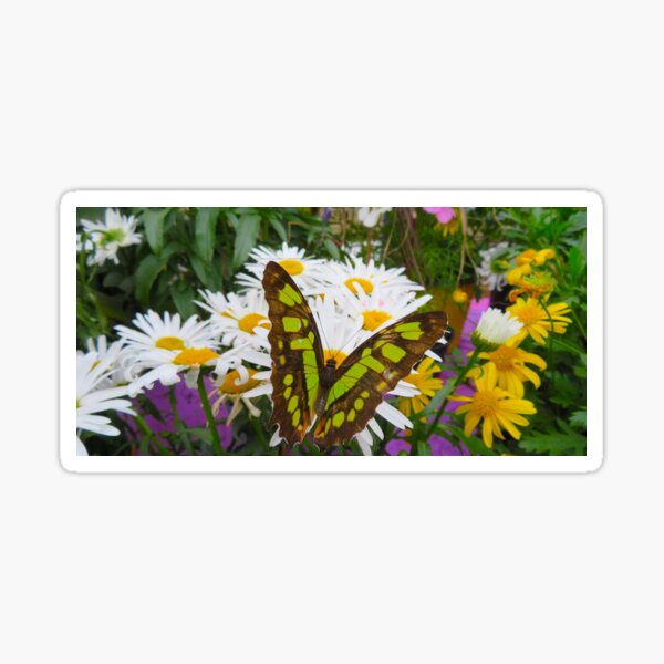 Butterfly in the Flowers Sticker