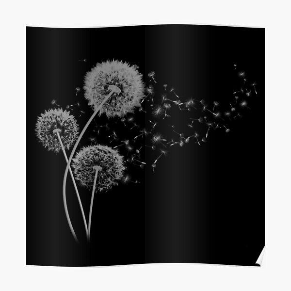 Dandelion Wishes on Black Poster