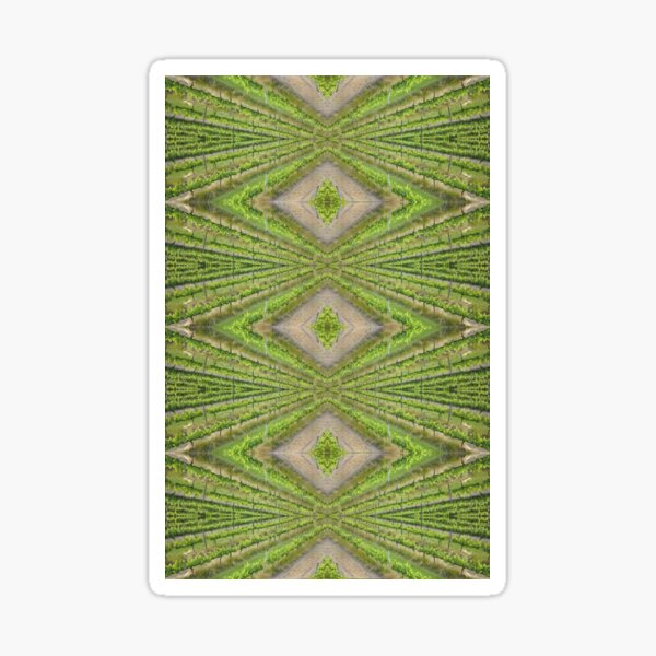 Item preview, White Vine Design  - Magpie Springs - Adelaide Hills Wine Region - Fleurieu Peninsula by South Australian artist Avril Thomas designed and sold by MagpieSprings.