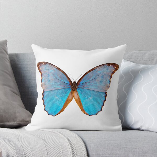 Item preview, Butterfly species Morpho godarti assarpai designed and sold by paulrommer.