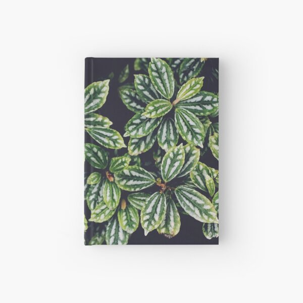 Tropical vibes Hardcover Journal