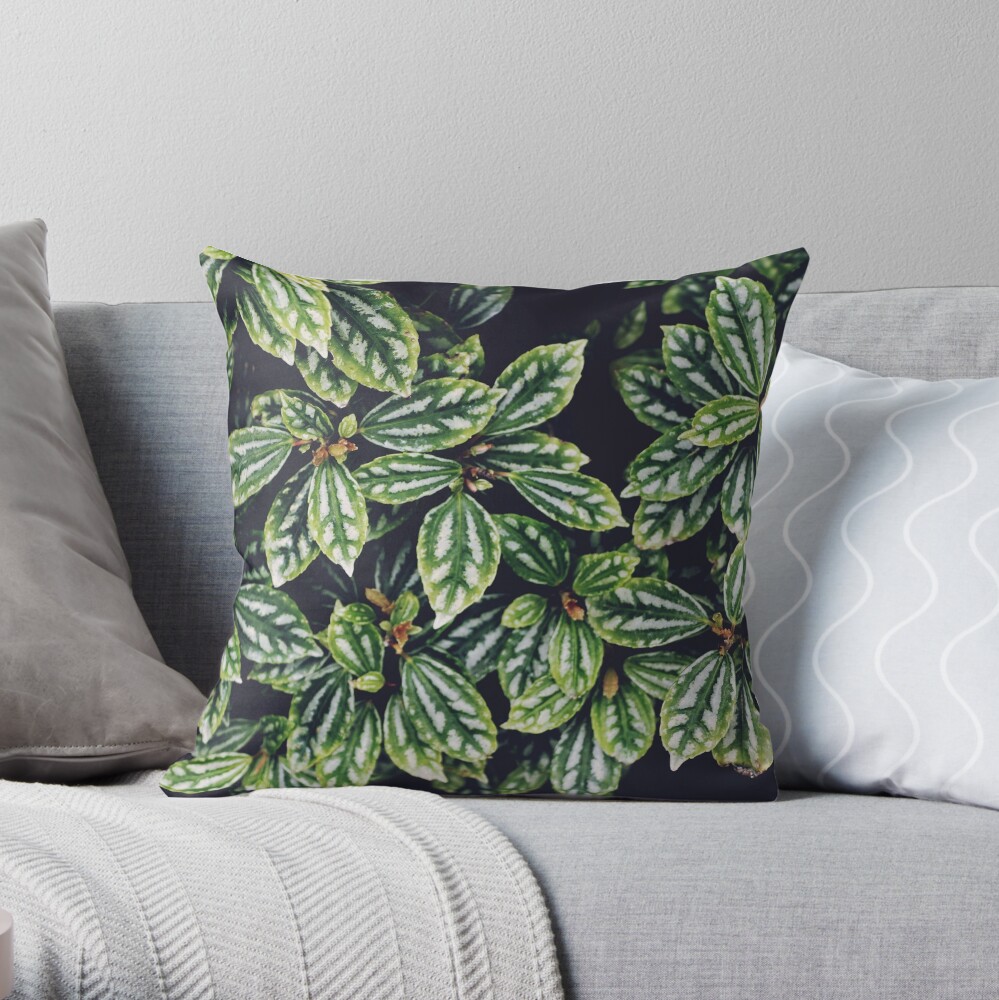 all about vibe pillow all about vibe pillow