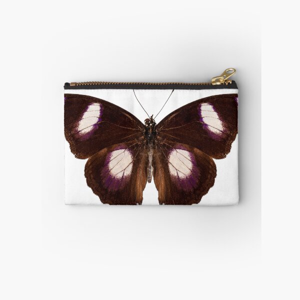 Item preview, Butterfly species Hypolimnas misippus male "Danaid Eggfly" designed and sold by paulrommer.