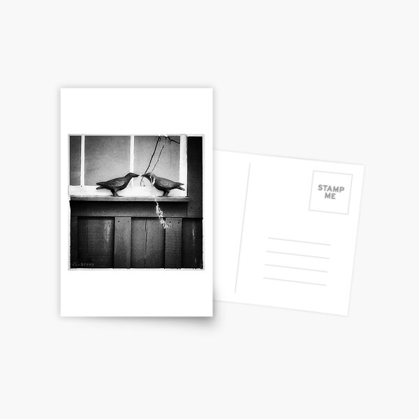 Counting Crows Postcard