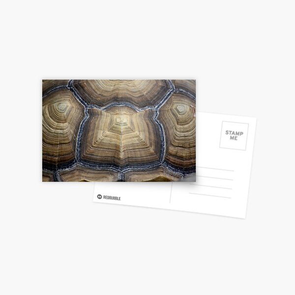 Item preview, symmetry designed and sold by yvesrossetti.