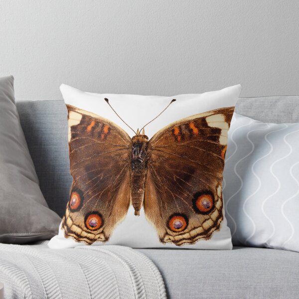 Item preview, Butterfly species Junonia orithya "Eyed Pansy" designed and sold by paulrommer.