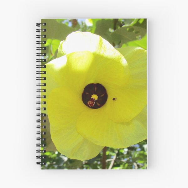 Item preview, Coastal Cottonwood Hibiscus tilaceus designed and sold by Robyn Williams.