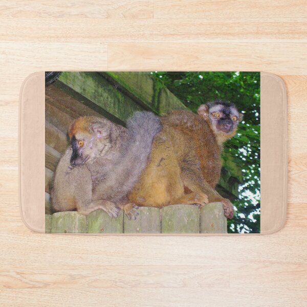 Item preview, Lemurs designed and sold by lezvee.