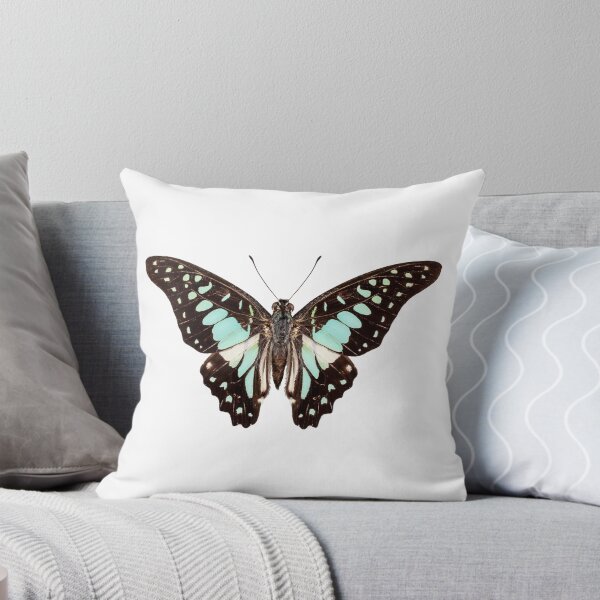 Item preview, butterfly species Graphium bathycles designed and sold by paulrommer.
