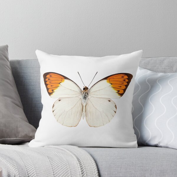 Item preview, Butterfly species Graphium sarpedon designed and sold by paulrommer.