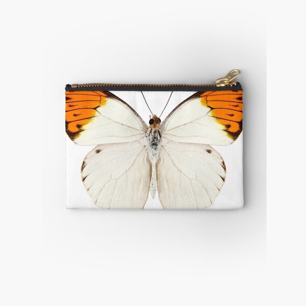 Item preview, Butterfly species Graphium sarpedon designed and sold by paulrommer.