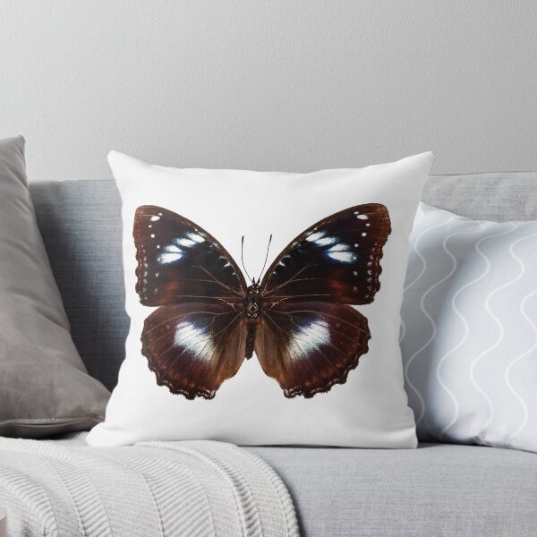 Item preview, Butterfly species Hypolimnas bolina "Great Eggfly" designed and sold by paulrommer.