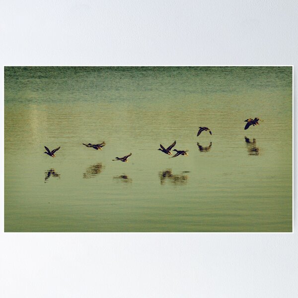 Item preview, I'd Like to Fly designed and sold by Annabelle Nordquist.