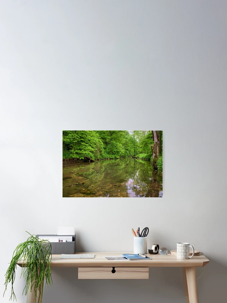 Thumbnail 2 of 3, Poster, Spring Trout Stream designed and sold by LynyrdSky.