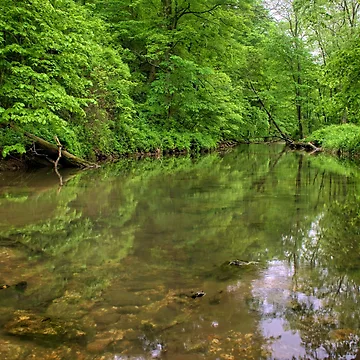 Artwork thumbnail, Spring Trout Stream by LynyrdSky